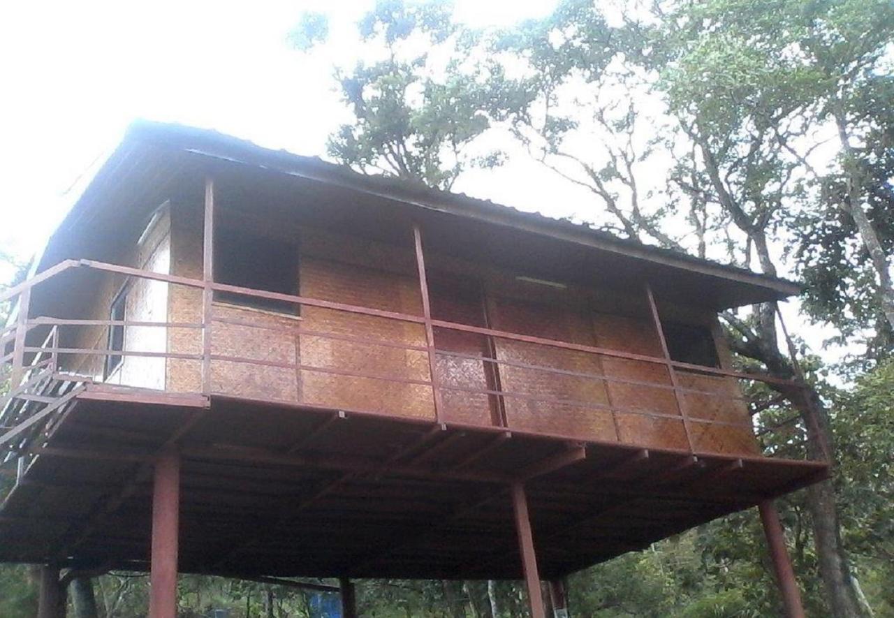 Punarjani Ayurvedic Resorts Ramakkalmedu Buitenkant foto