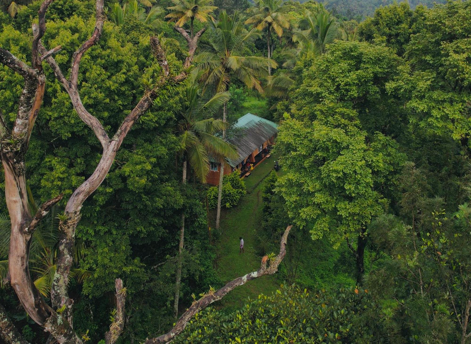Punarjani Ayurvedic Resorts Ramakkalmedu Buitenkant foto
