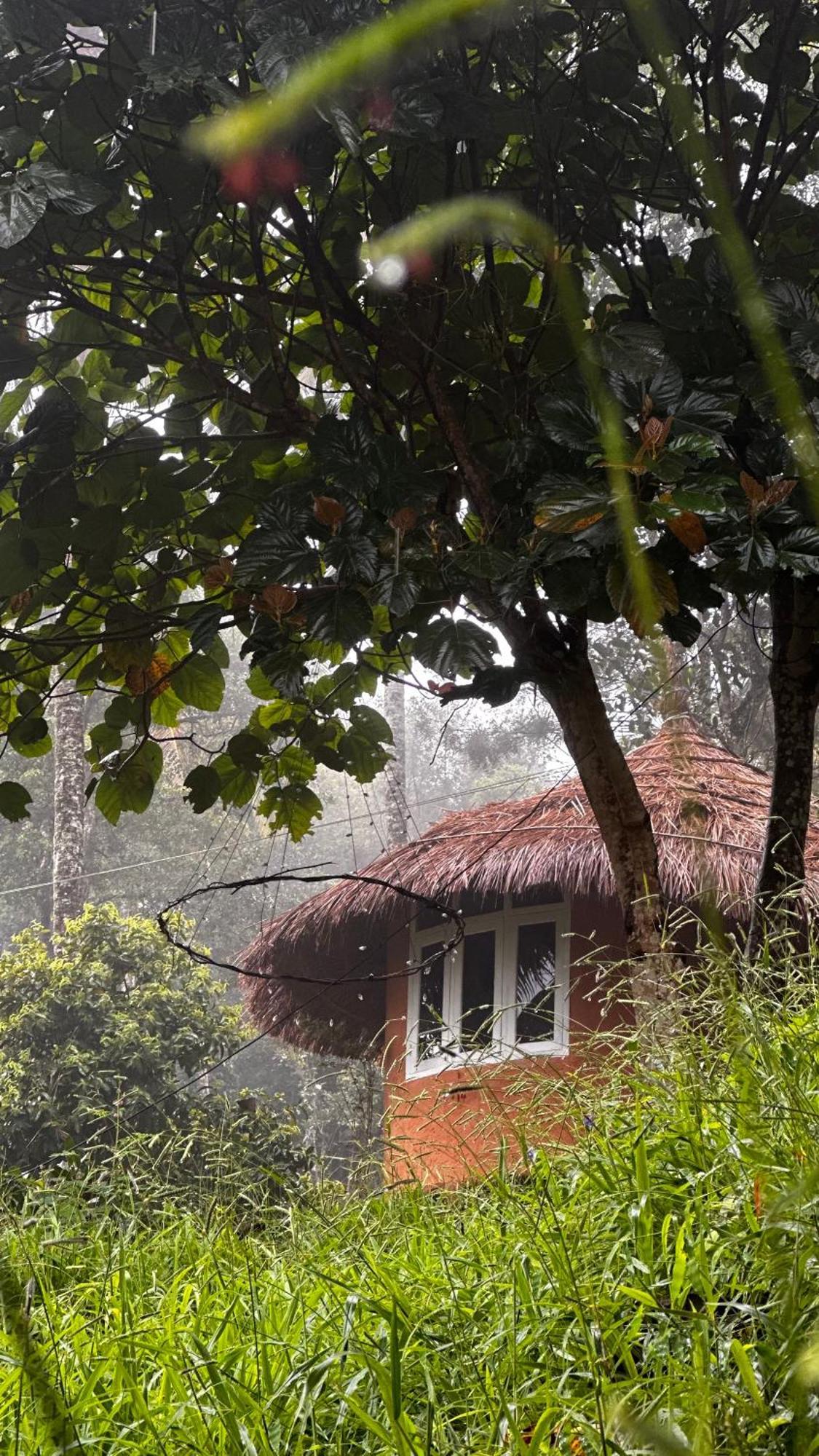 Punarjani Ayurvedic Resorts Ramakkalmedu Buitenkant foto