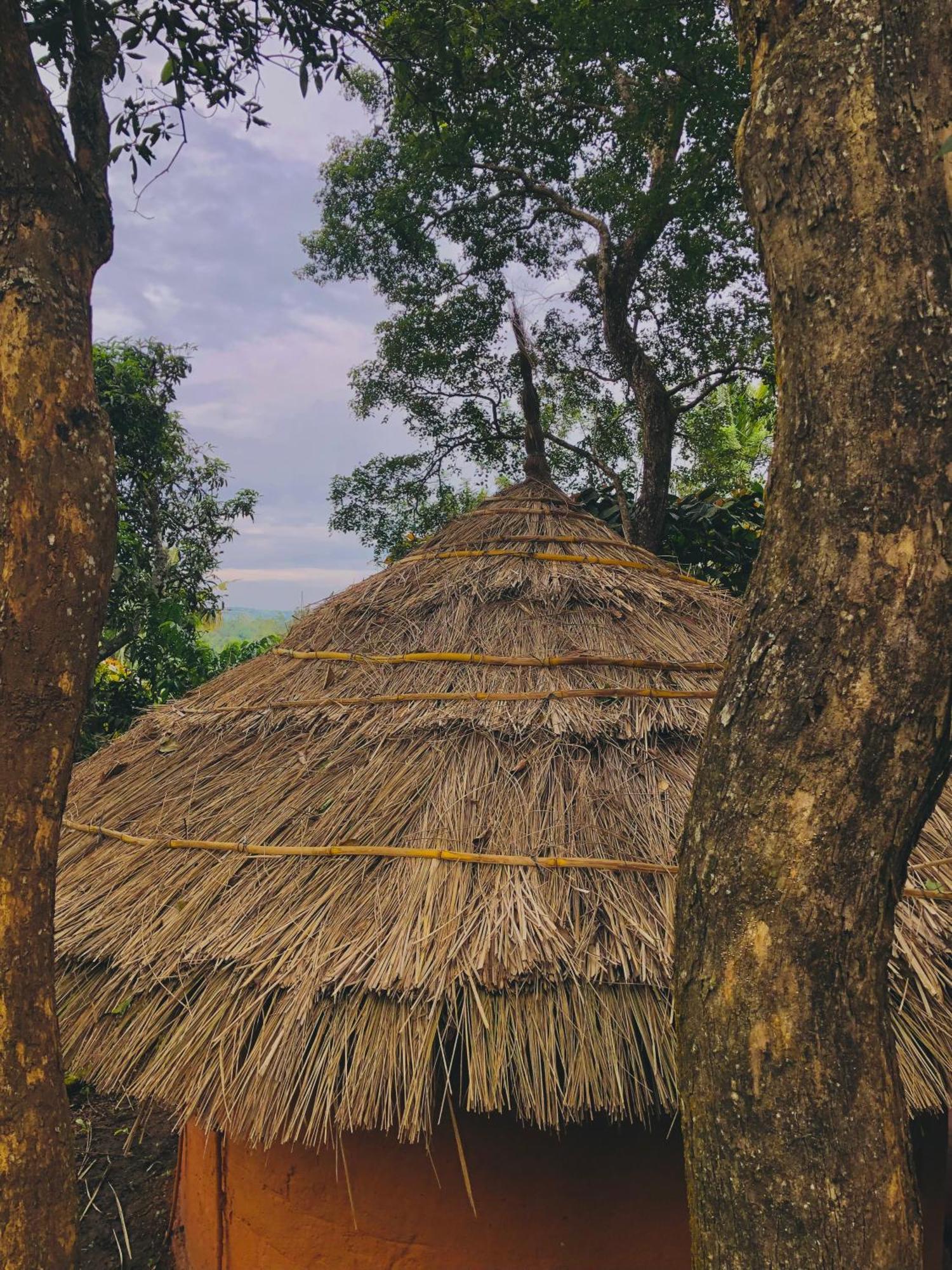 Punarjani Ayurvedic Resorts Ramakkalmedu Buitenkant foto