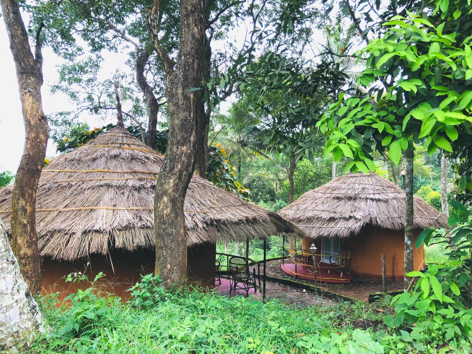 Punarjani Ayurvedic Resorts Ramakkalmedu Buitenkant foto