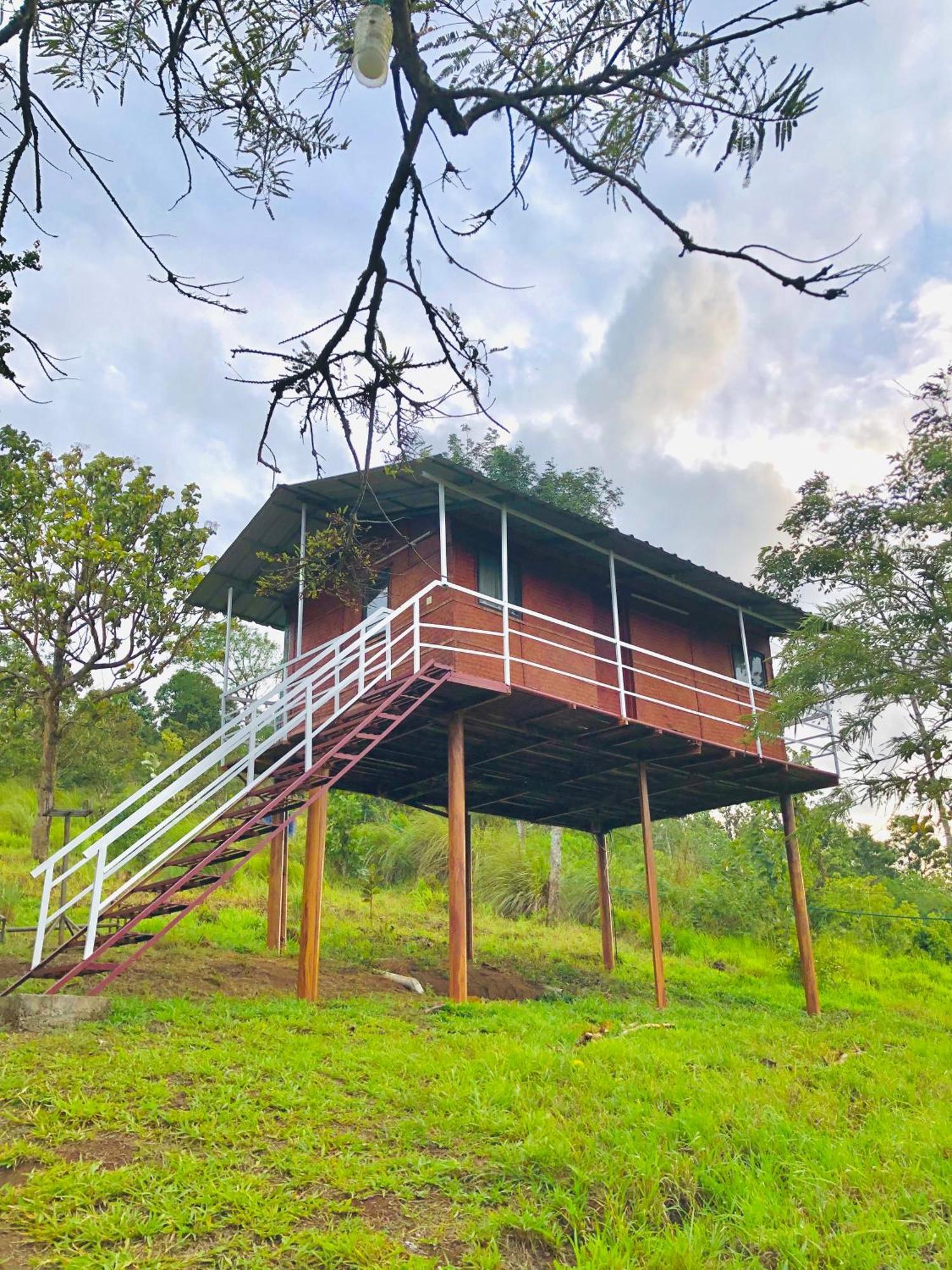 Punarjani Ayurvedic Resorts Ramakkalmedu Buitenkant foto